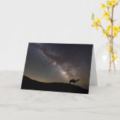 Kamel Silhouette und Milkyway Karte (Gelbe Blume)