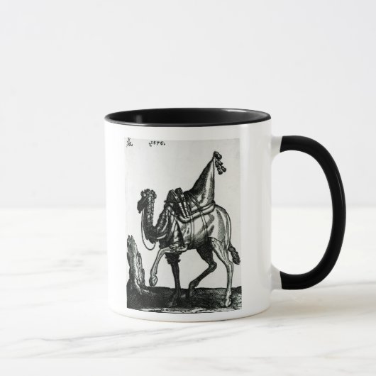 Kamel Tasse (Rechts)