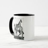 Kamel Tasse (Vorderseite Links)