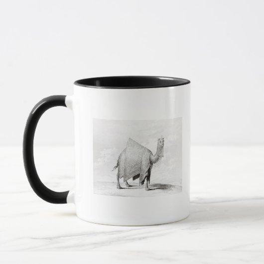 Kamel Tasse (Links)