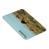 Kamel, Tunesien Magnet (Rechte Seite)