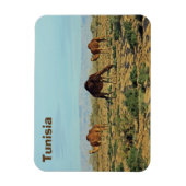 Kamel, Tunesien Magnet (Vertikal)