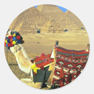 Kamel und Pyramiden, Kairo, Ägypten Runder Aufkleber