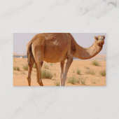 Kamel-Visitenkarte Visitenkarte (Rückseite)