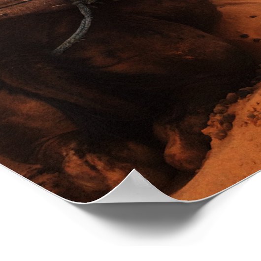 Kamel von hinten poster (Ecke)