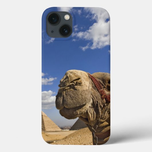 Kamel vor den Pyramiden von Giseh, Ägypten, Case-Mate iPhone Hülle (Rückseite)