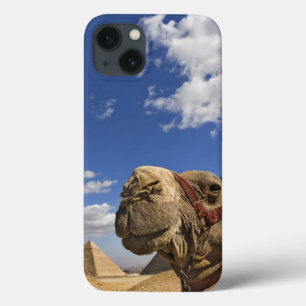 Kamel vor den Pyramiden von Giseh, Ägypten, Case-Mate iPhone Hülle