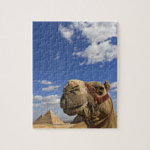 Kamel vor den Pyramiden von Giza, Ägypten, Puzzle
