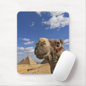 Kamel vor den Pyramiden von Gizeh, Ägypten, Mousepad (Mit Mouse)
