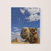 Kamel vor den Pyramiden von Gizeh, Ägypten, Puzzle (Vertikal)