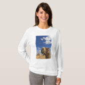 Kamel vor den Pyramiden von Gizeh, Ägypten, T-Shirt (Vorne ganz)