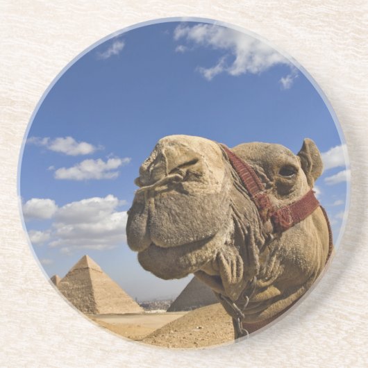 Kamel vor den Pyramiden von Gizeh, Ägypten, Untersetzer (Vorne)