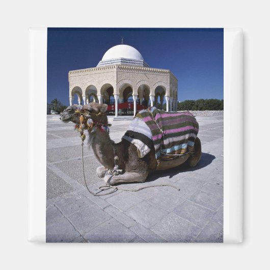 Kamel vor der Kuppel, Monastir, Tunesien Magnet (Vorne)