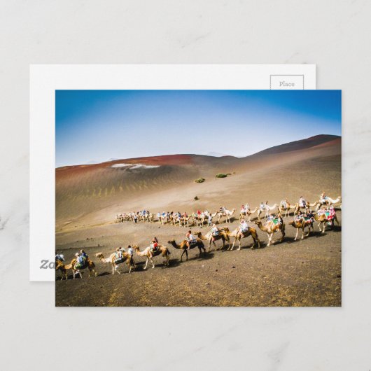 Kamelbahn auf Lanzarote Postkarte (Vorne/Hinten)