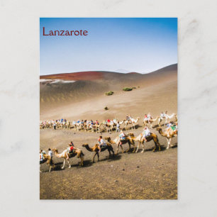 Kamelbahn auf Lanzarote Postkarte
