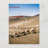 Kamelbahn auf Lanzarote Postkarte (Vorderseite)