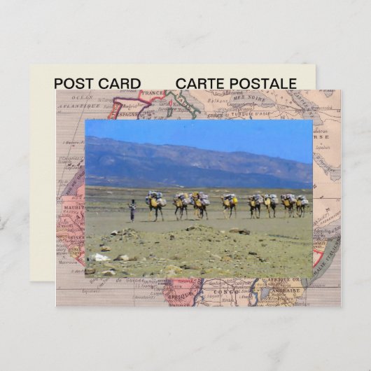 Kamelbahn überquert die Sahara-Wüste Postkarte (Vorne/Hinten)