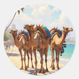 Kamele am Strand von Mombasa Kenya Runder Aufkleber