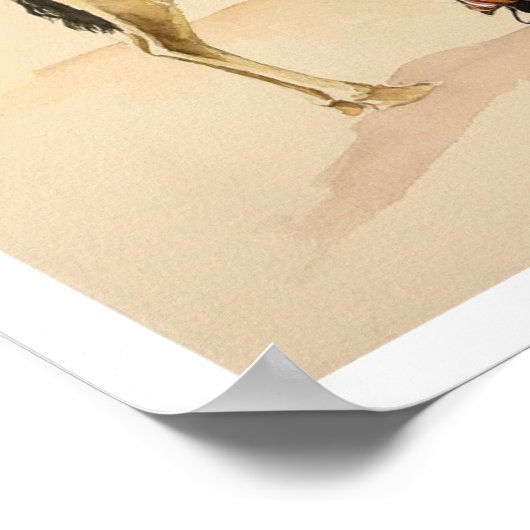 Kamele aus Petra 2007 Poster (Ecke)