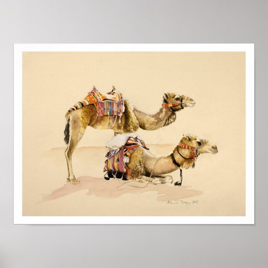 Kamele aus Petra 2007 Poster (Vorne)
