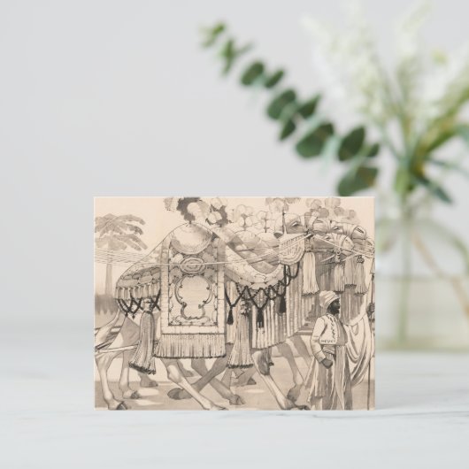 Kamele, die in Kostümen verkleidet sind Postkarte (Stehend Vorderseite)
