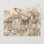 Kamele, die in Kostümen verkleidet sind Postkarte (Vorderseite)