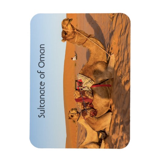 Kamele in der Oman-Wüste Magnet (Vertikal)