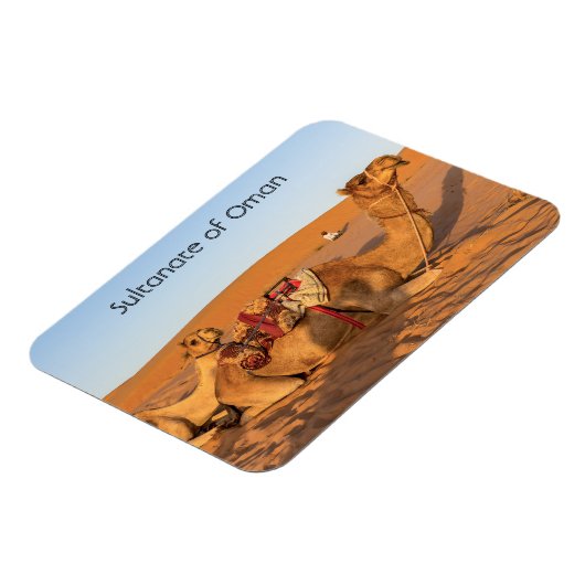 Kamele in der Oman-Wüste Magnet (Linke Seite)