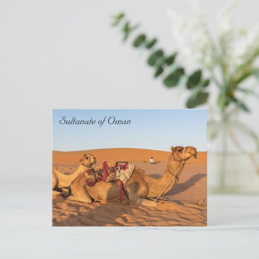 Kamele in der Oman-Wüste Postkarte (Stehend Vorderseite)