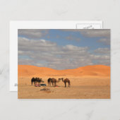 Kamele in der Wüste der Sahara Postkarte (Vorne/Hinten)