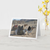 Kamele in der Wüste Karte (Gelbe Blume)