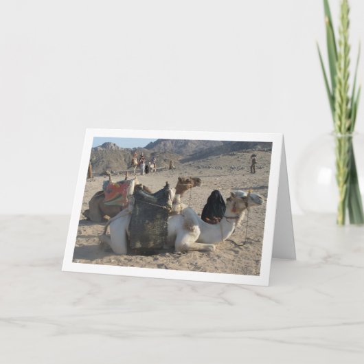 Kamele in der Wüste Karte (Vorderseite)