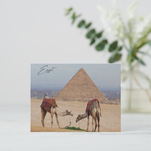 Kamele in der Wüste Postkarte (Stehend Vorderseite)