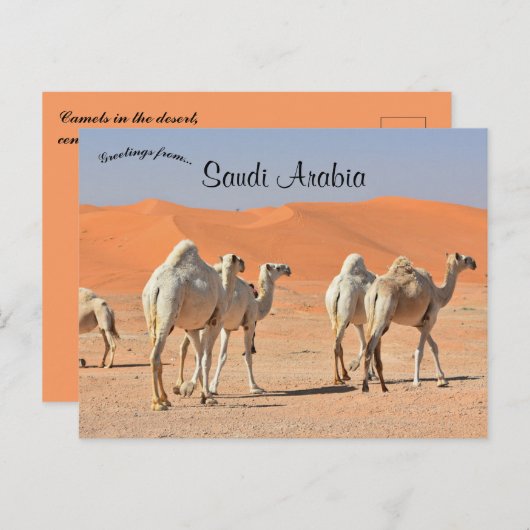 Kamele in der Wüste Saudi-Arabiens Postkarte (Vorne/Hinten)