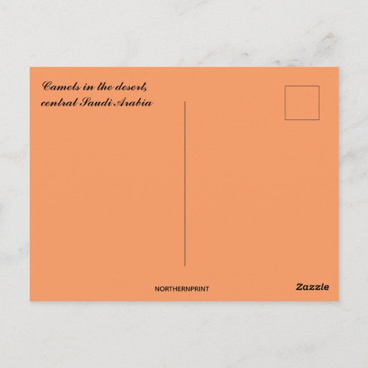 Kamele in der Wüste Saudi-Arabiens Postkarte (Rückseite)