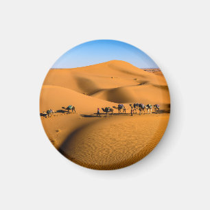 Kamele in der Wüste unter blauem Himmel Magnet