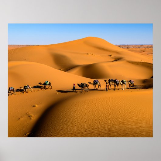 Kamele in der Wüste unter blauem Himmel Poster (Vorne)