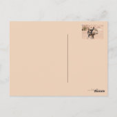 Kamele in der Wüste von St. Catherine Postkarte (Rückseite)