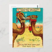 Kamele in Liebe, lustige Vintage St. Valentine Postkarte (Vorne/Hinten)