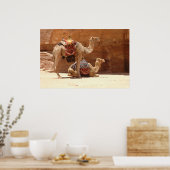 Kamele in Petra Poster (Küche)