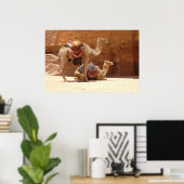 Kamele in Petra Poster (Heimbüro)
