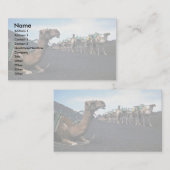 Kamele, Lanzarote Visitenkarte (Vorne/Hinten)