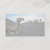Kamele, Lanzarote Visitenkarte (Rückseite)