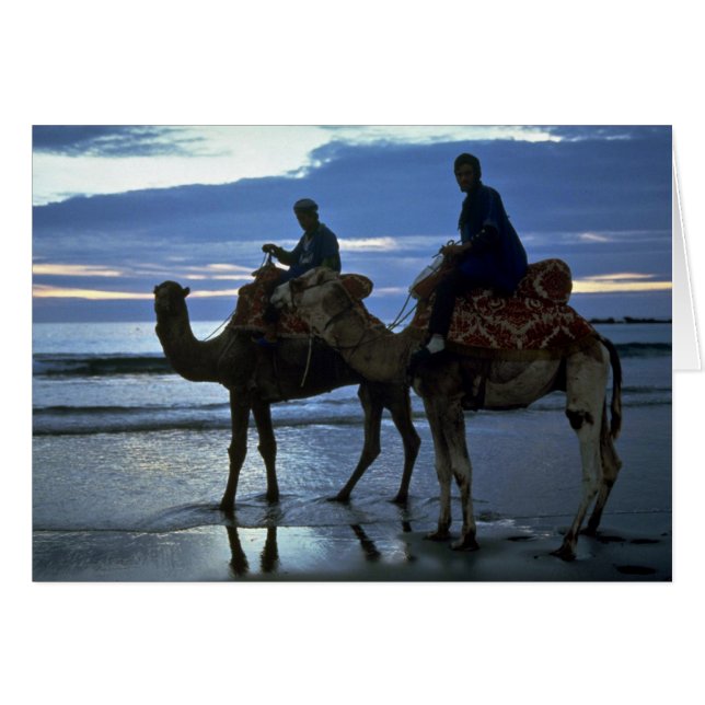 Kamele, Marokko (Vorderseite (Horizontal))