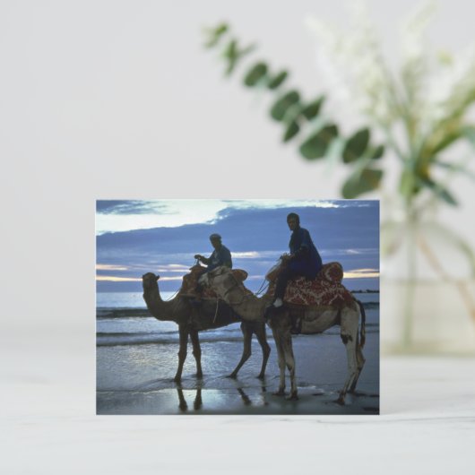 Kamele, Marokko Postkarte (Stehend Vorderseite)