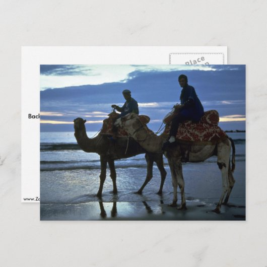 Kamele, Marokko Postkarte (Vorne/Hinten)