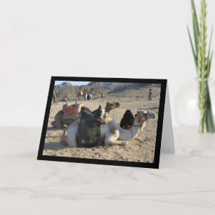 Kamele ruhen in der Wüste Karte
