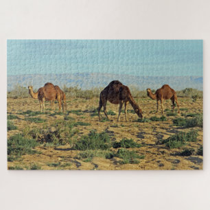 Kamele, Tunesien 1014-pc Puzzle