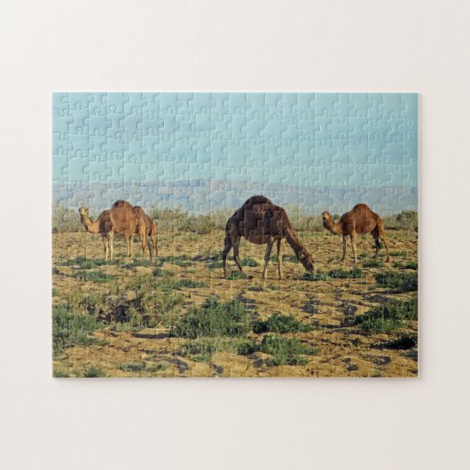 Kamele, Tunesien 252-pc Puzzle (Horizontal)