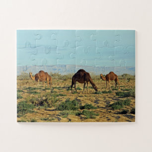 Kamele, Tunesien 30- Puzzle